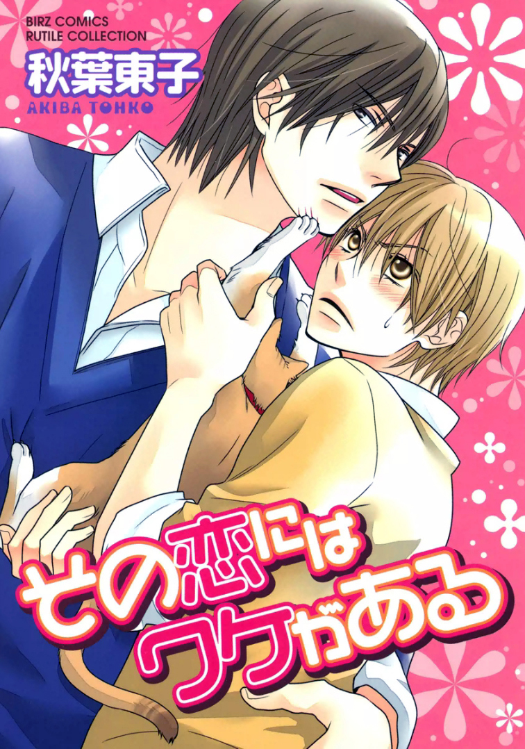 Sono Koi ni wa Wake ga Aru cover