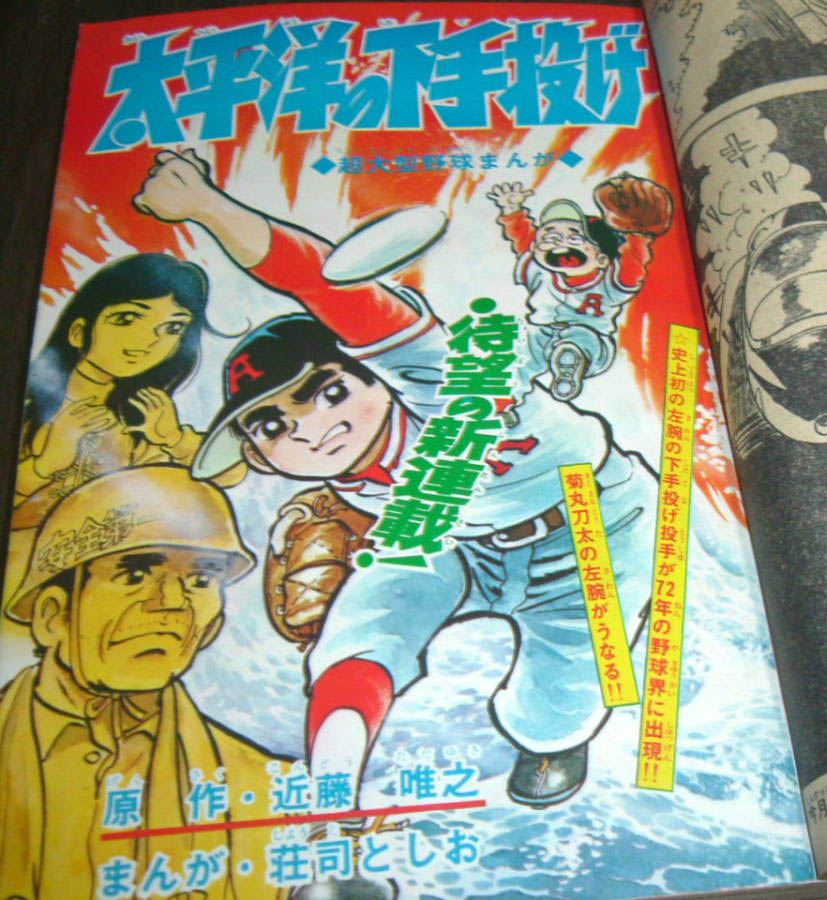 Pacific Hand Throw cover