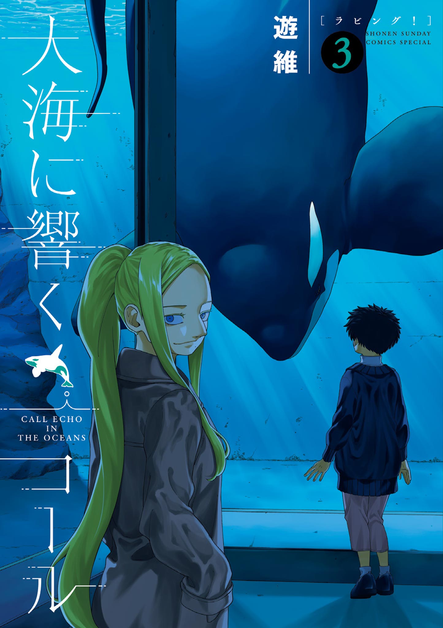 Taikai ni Hibiku Call cover