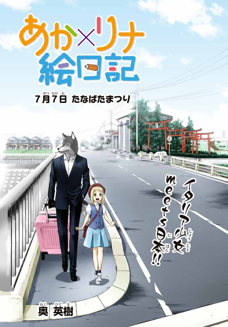 Aka x Rina Picture Diary cover