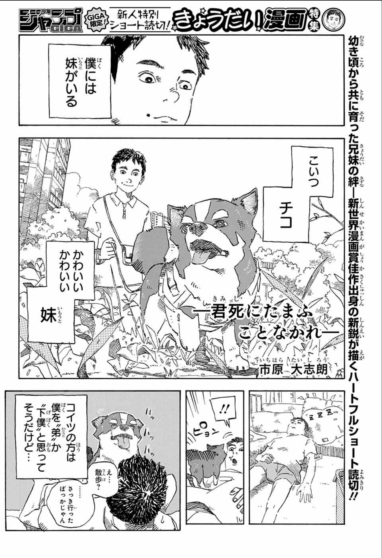 I Forbid You to Die cover