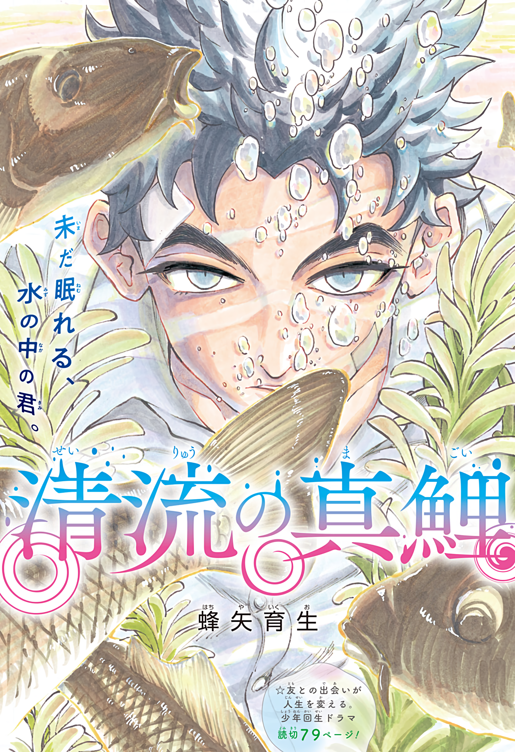 Seiryuu no Magoi cover